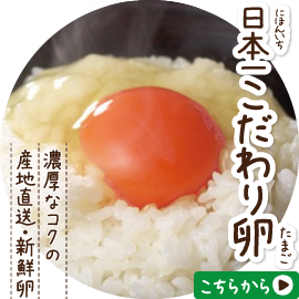 ���{�ꂱ����藑