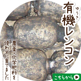 �L�@�����R��