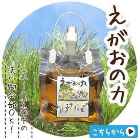 �������̗�