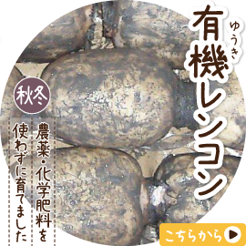 �L�@�����R��